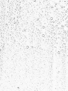 Brume Équilibrante — Prébiotiques + Acide Hyaluronique